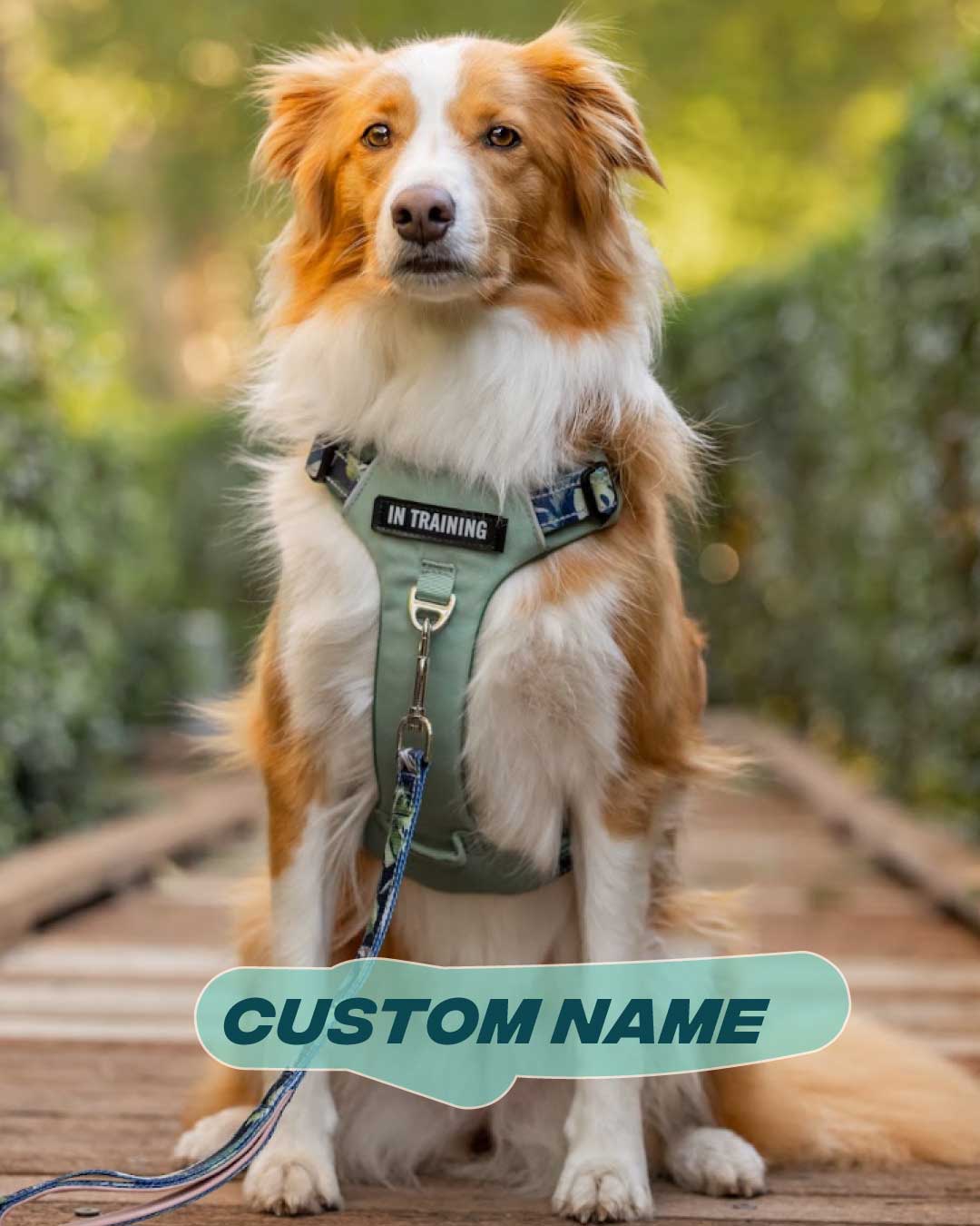 PERSONALISATION