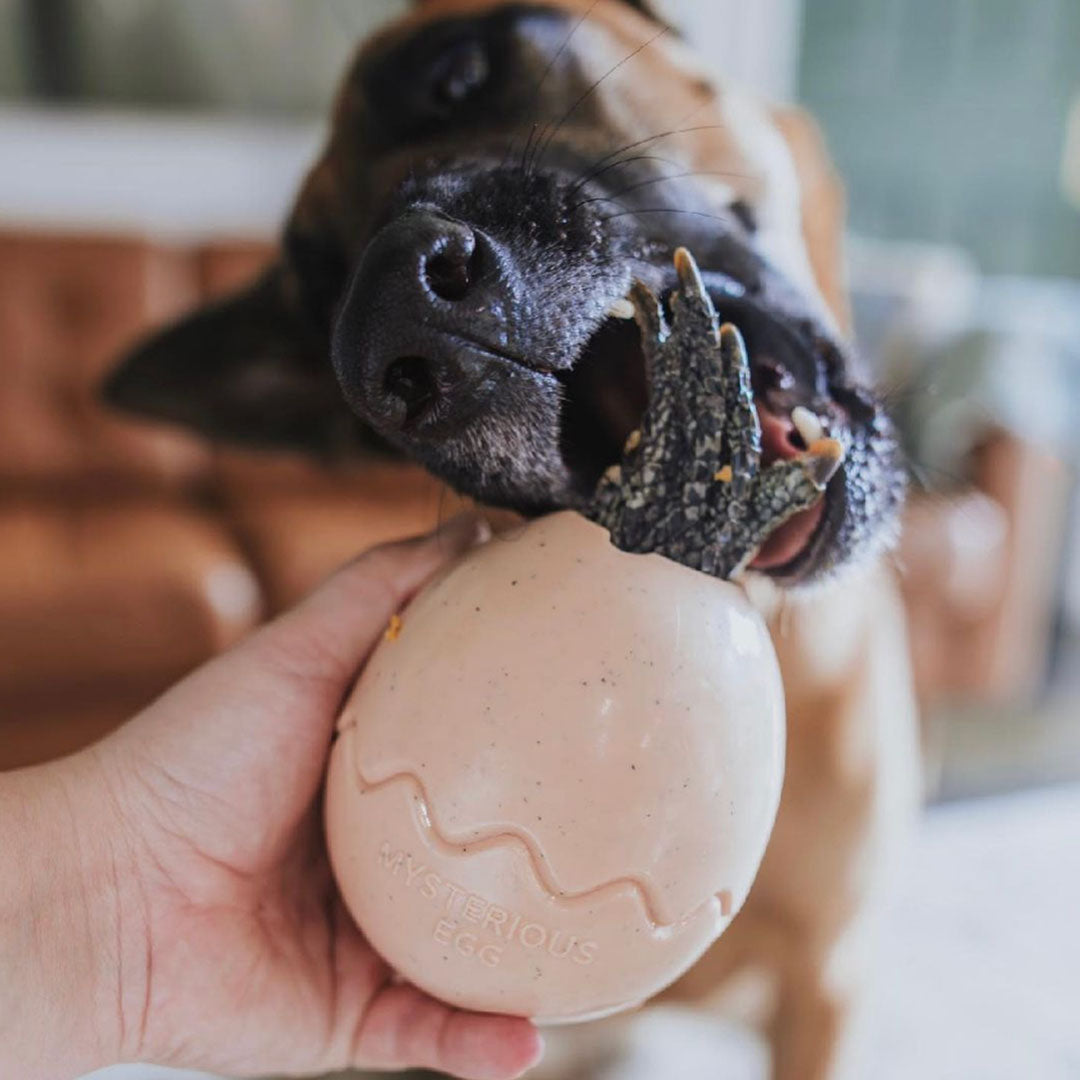 Beige Egg Rubber Food Enrichment Toy