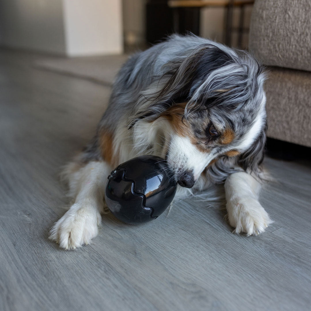 Black Egg Rubber Food Enrichment Toy