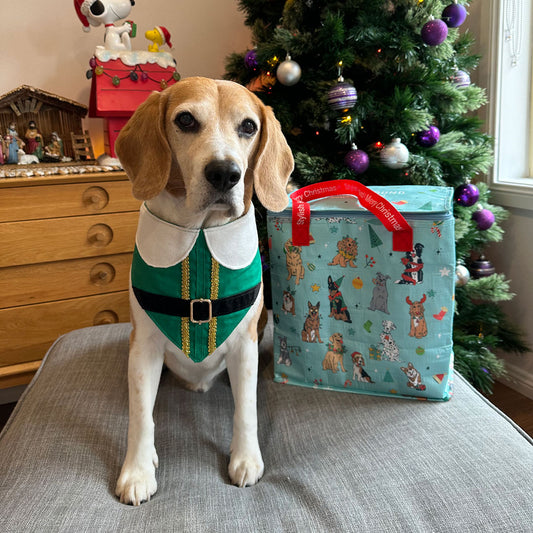 Christmas Festive Chillie Bag