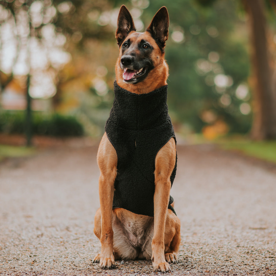 Black Fleece Vest