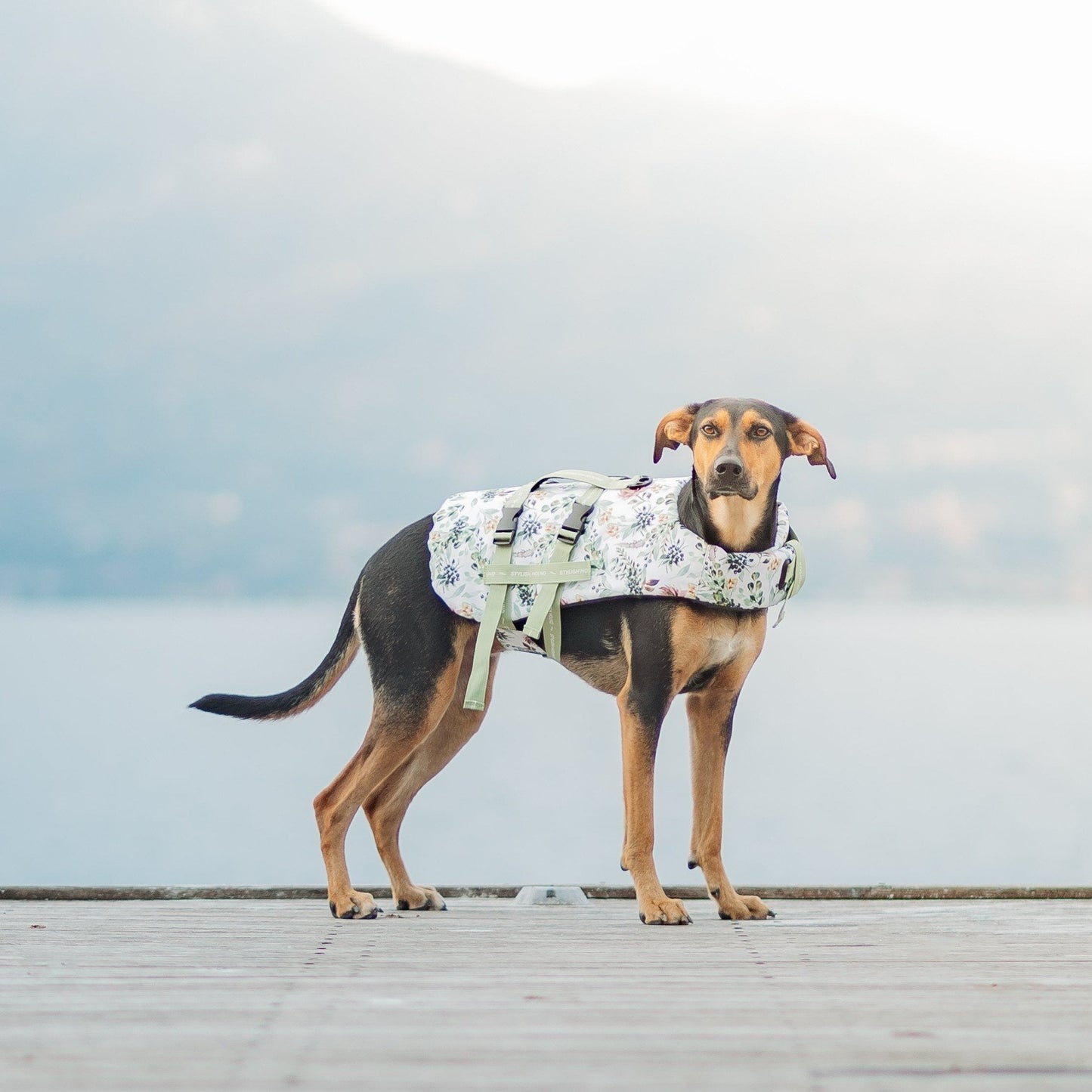 Evergreen Swim Jacket - Evergreen