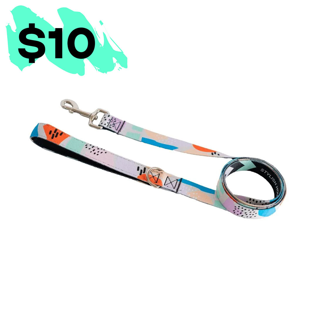 Newtown Leash - Newtown