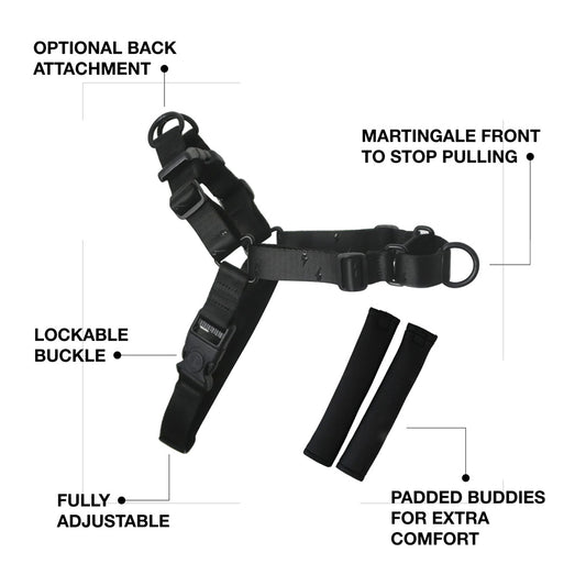 RNT No-Pull Training Harness - SALE