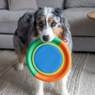Pinwheel Frisbee Toy