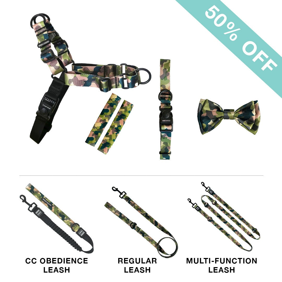 RNT No-Pull Harness + Leash + Collar + Bow Tie