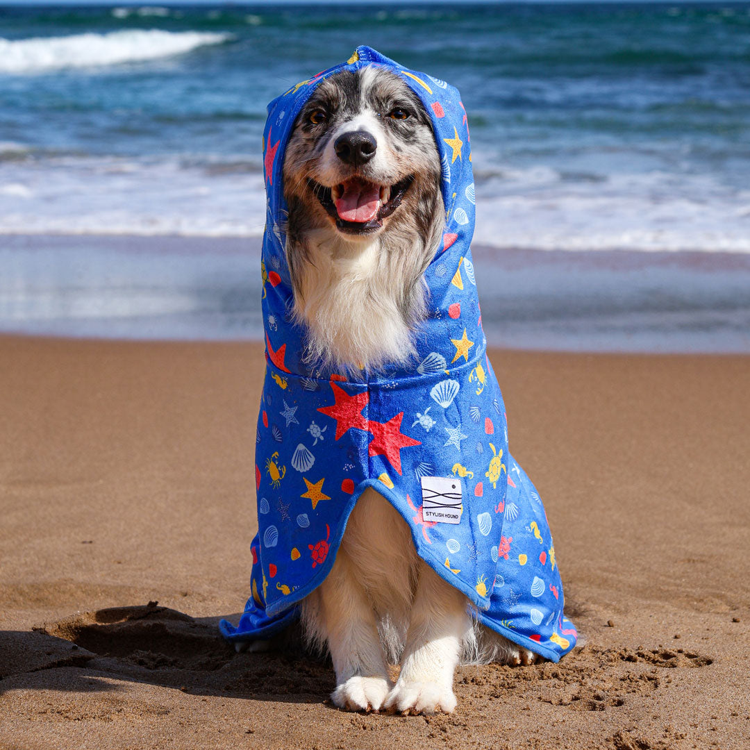 Rockpool Dog Robe - Rockpool