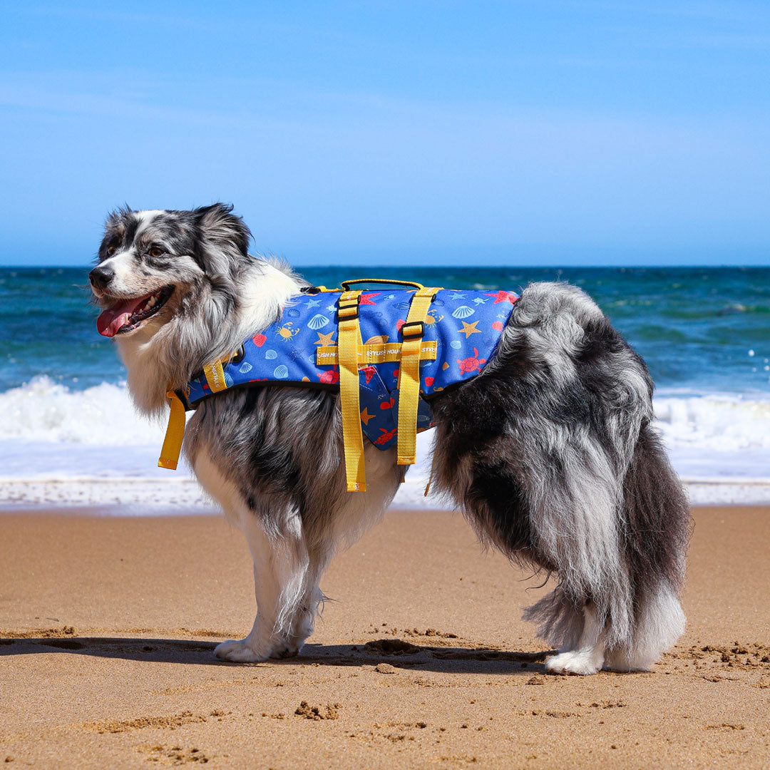 Rockpool Swim Jacket - Rockpool