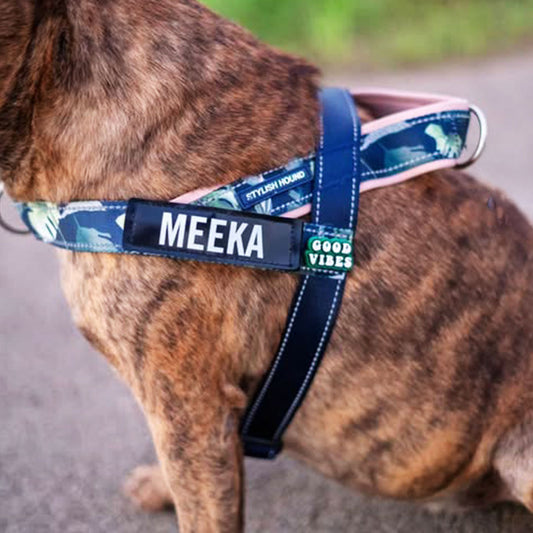 Eden Personalised No-Pull Harness