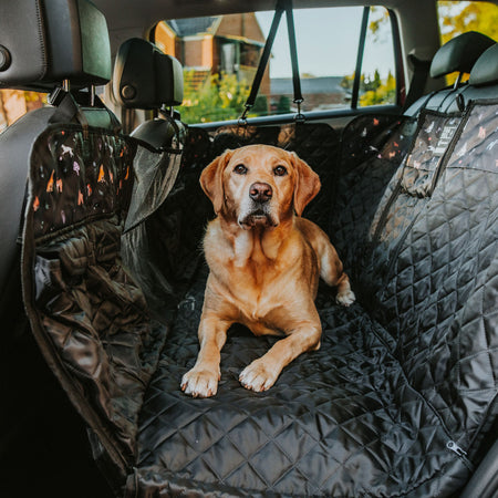 Back Seat Cover Bundle - Happy Pack
