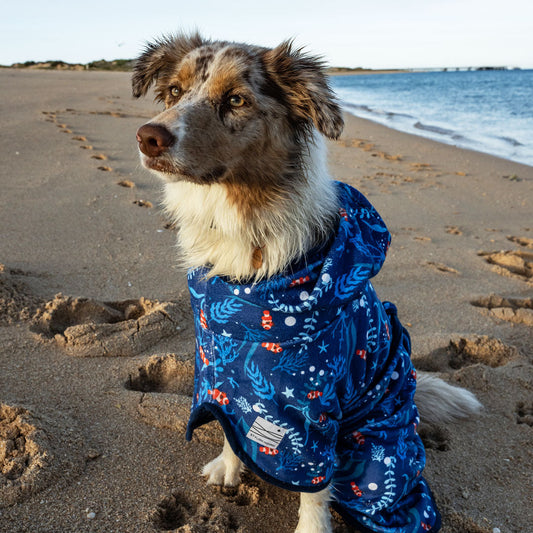 Ocean Blue Dog Robe - Ocean Blue