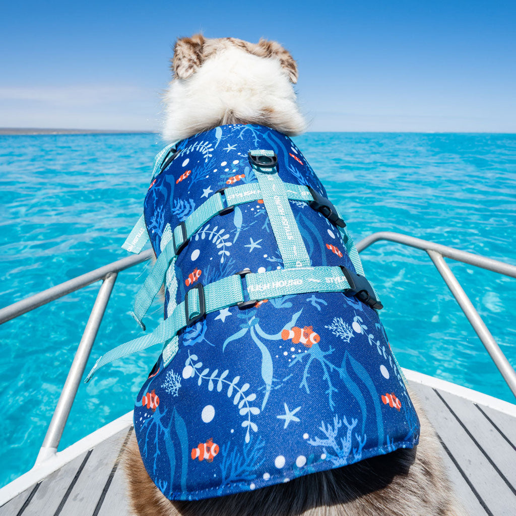 Best dog life jackets 2019 best sale