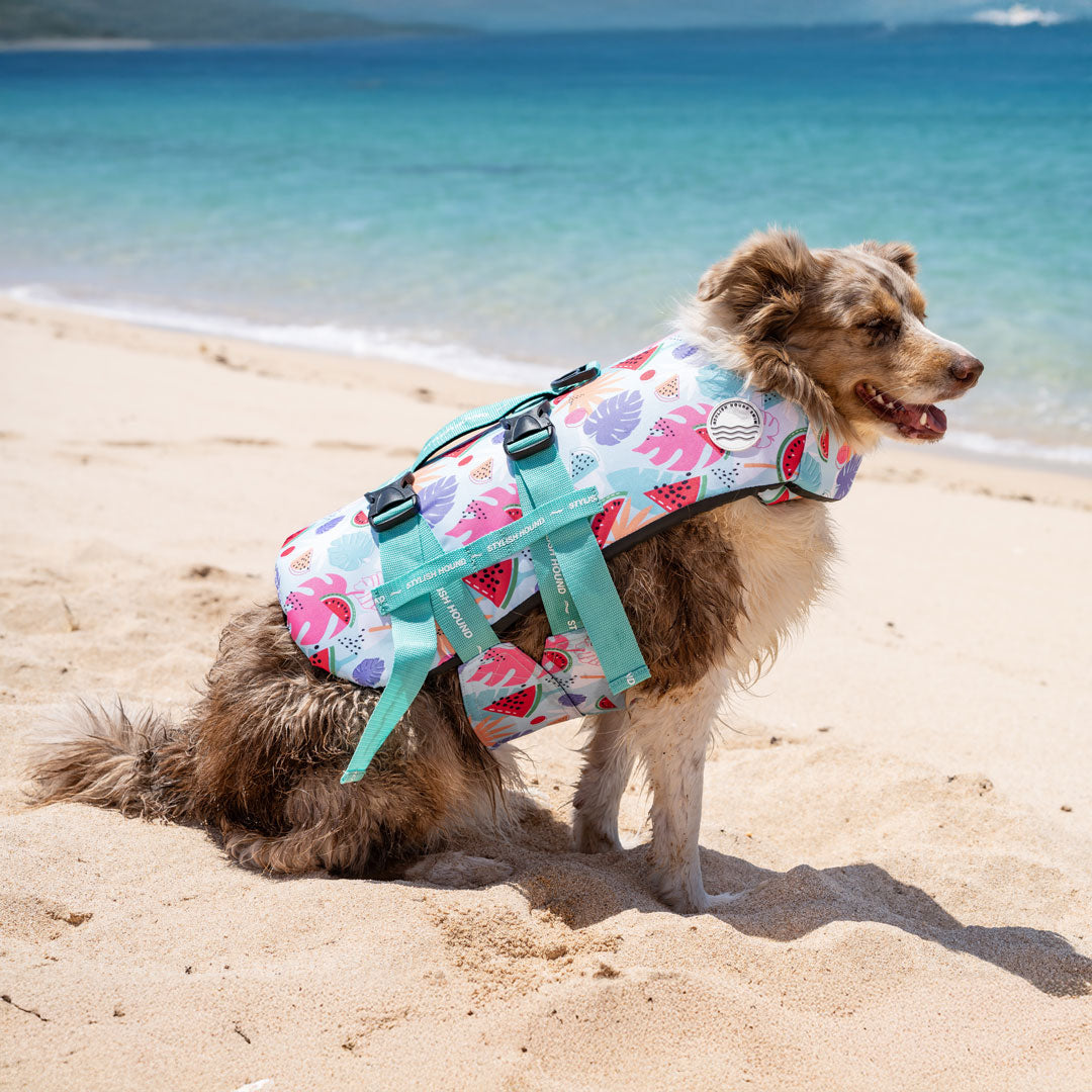 Miami Swim Jacket - Miami