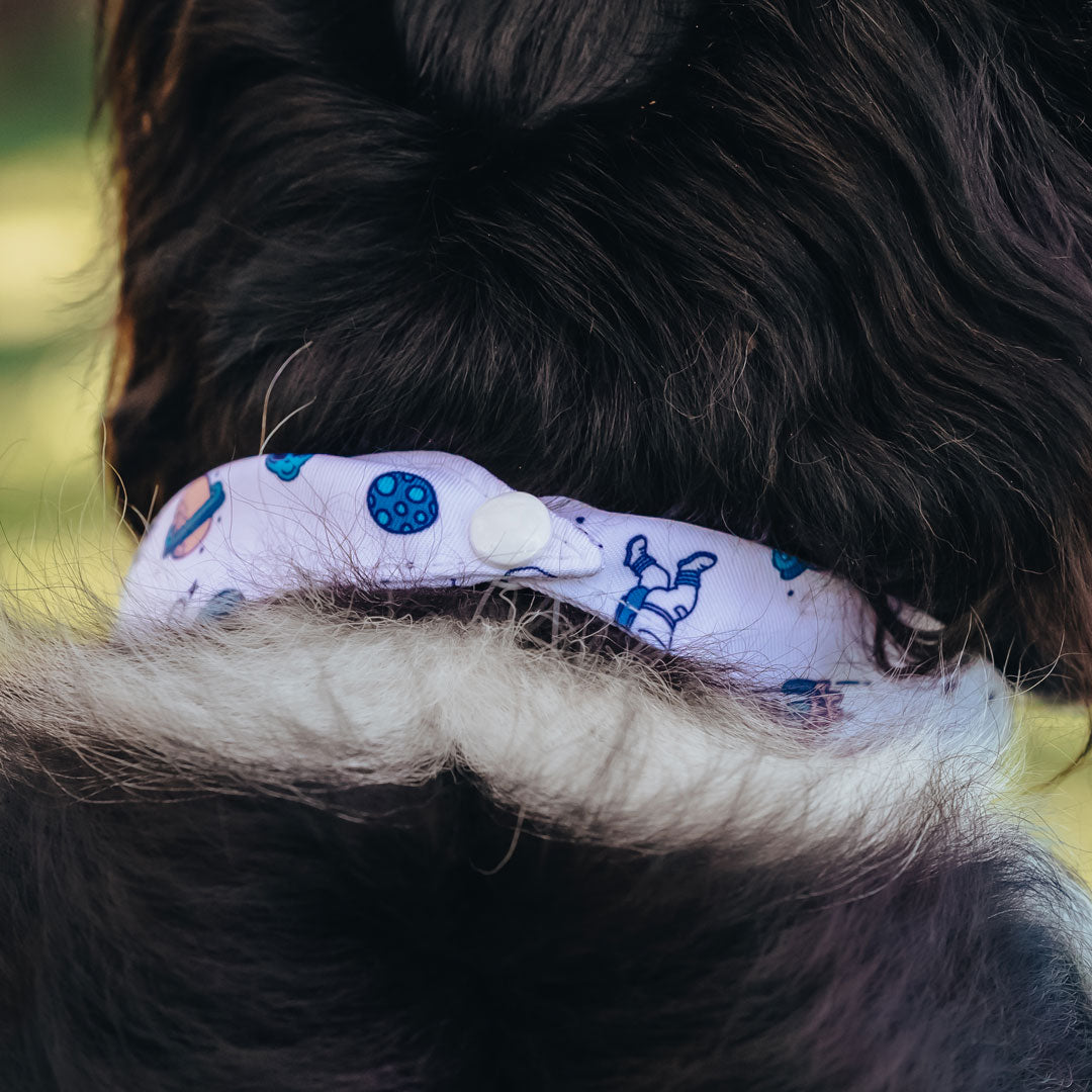 Ground Control Bandana - Ground Control