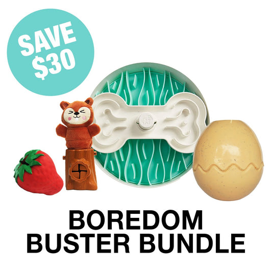 Boredom Buster Bundle