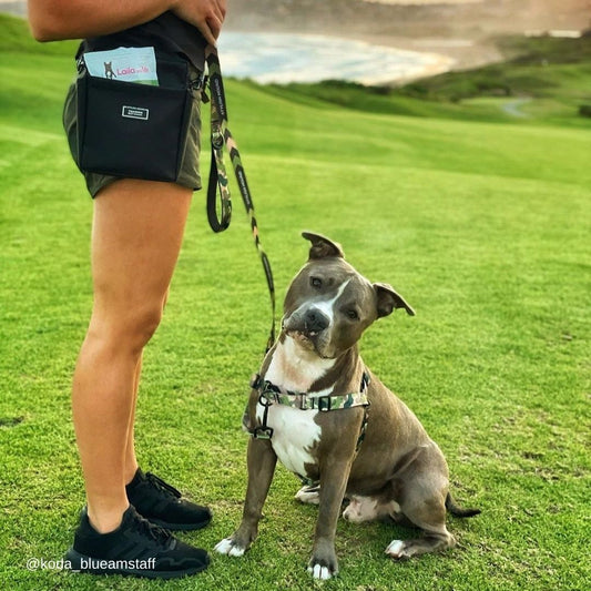 On Duty Multi-Function Leash - On Duty