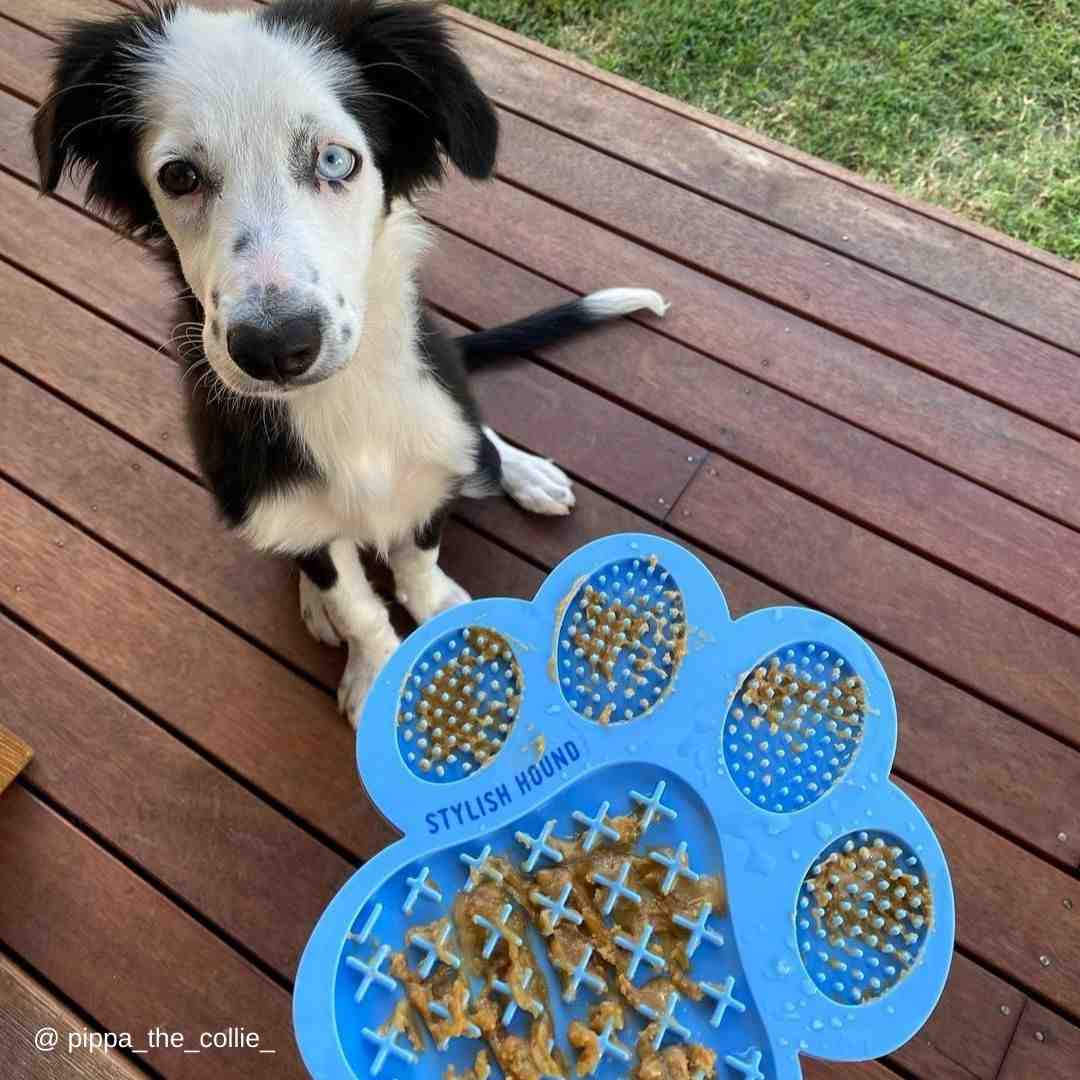 $12 Lick Mat w Suction