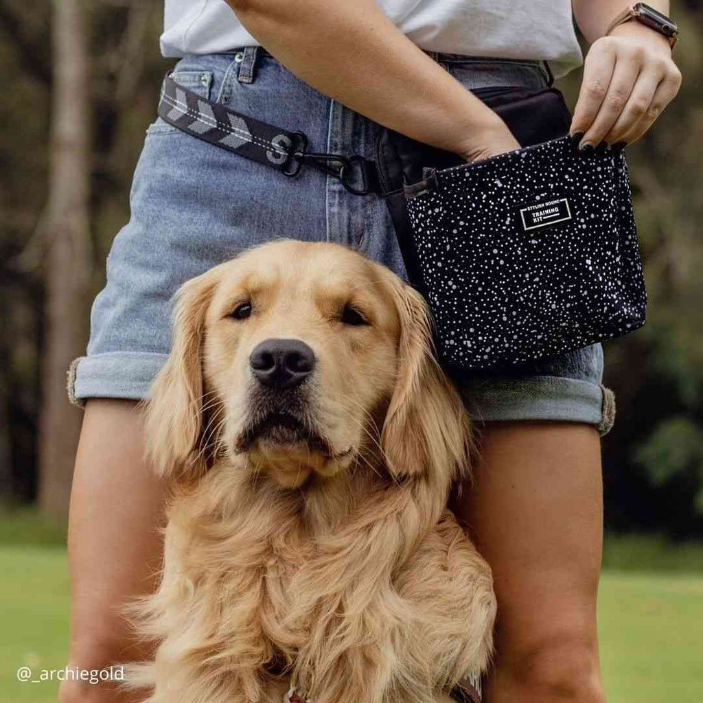 Treat Band Dog Training Treat Pouch With Clickers Hands-Free