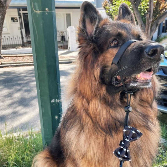 Blackout Halter - Blackout