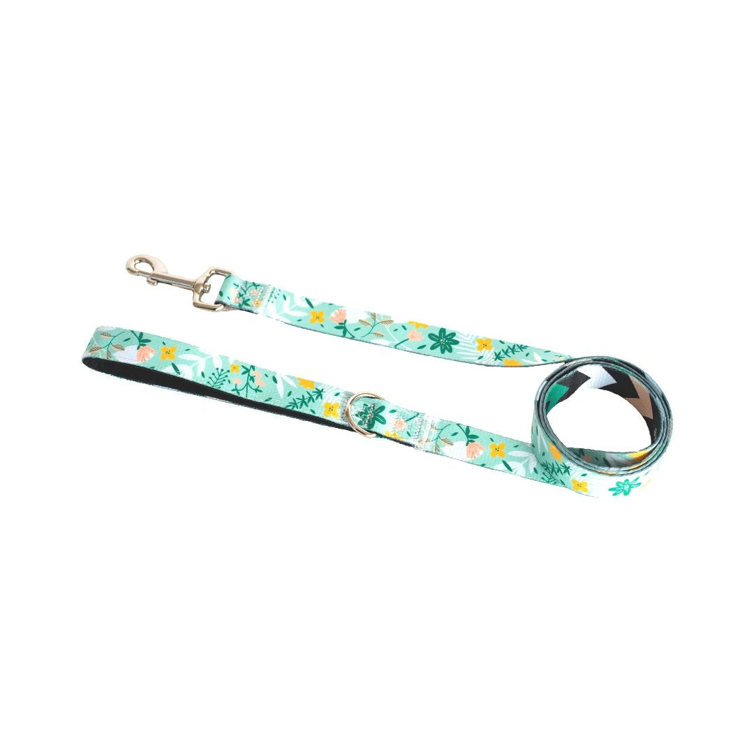 Matching Leash