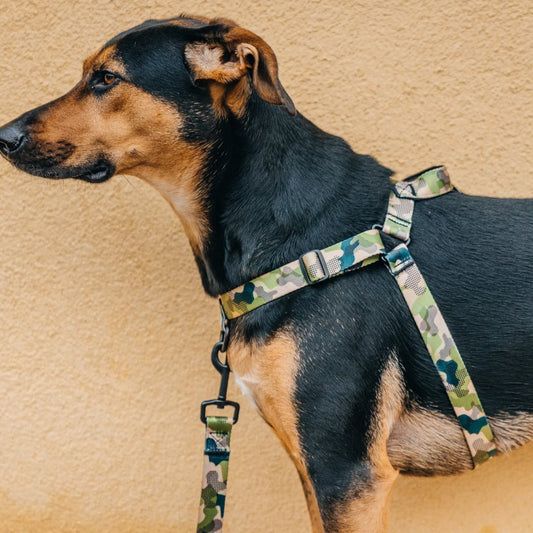 On Duty OG No-Pull Training Harness - On Duty