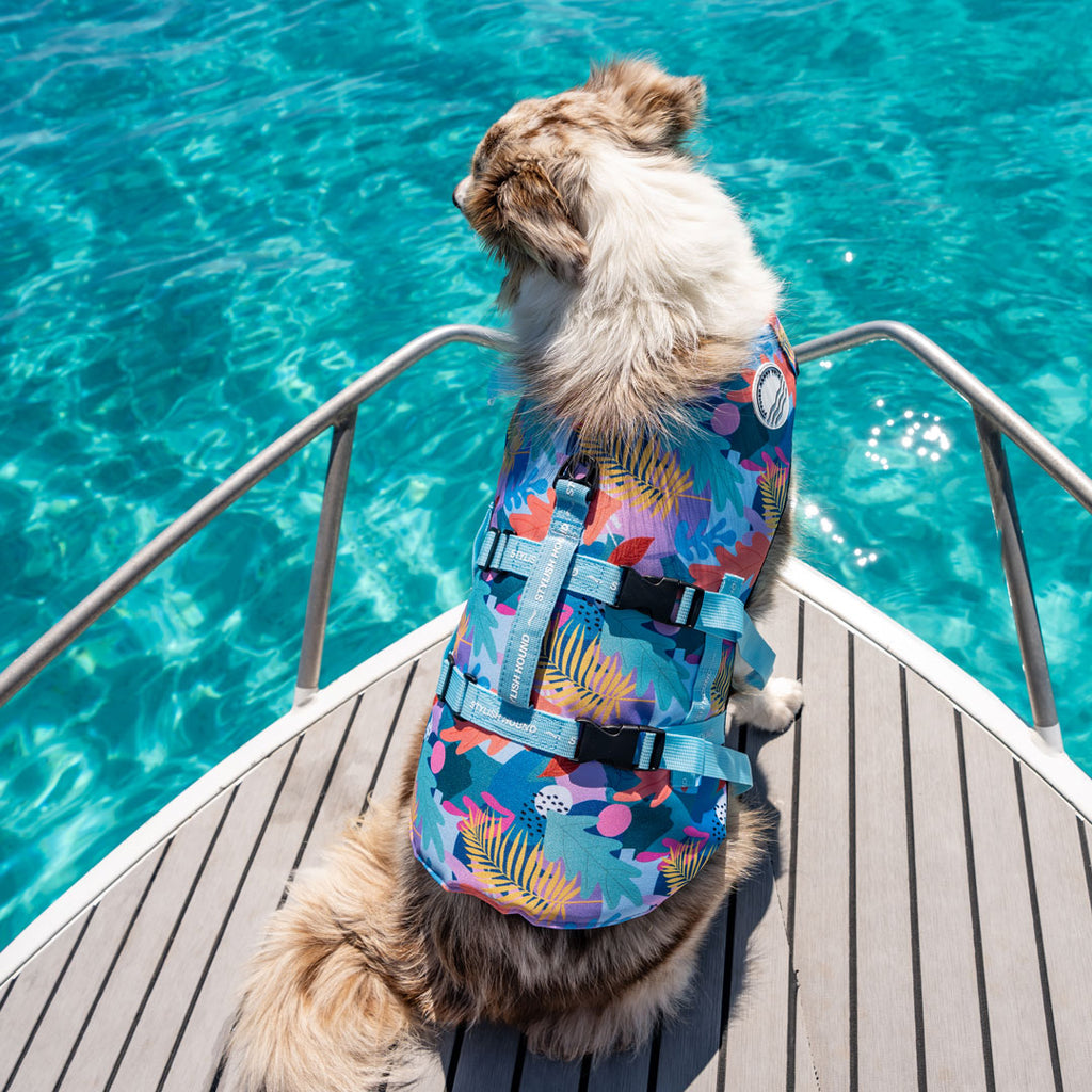 Dog swimming sale jacket