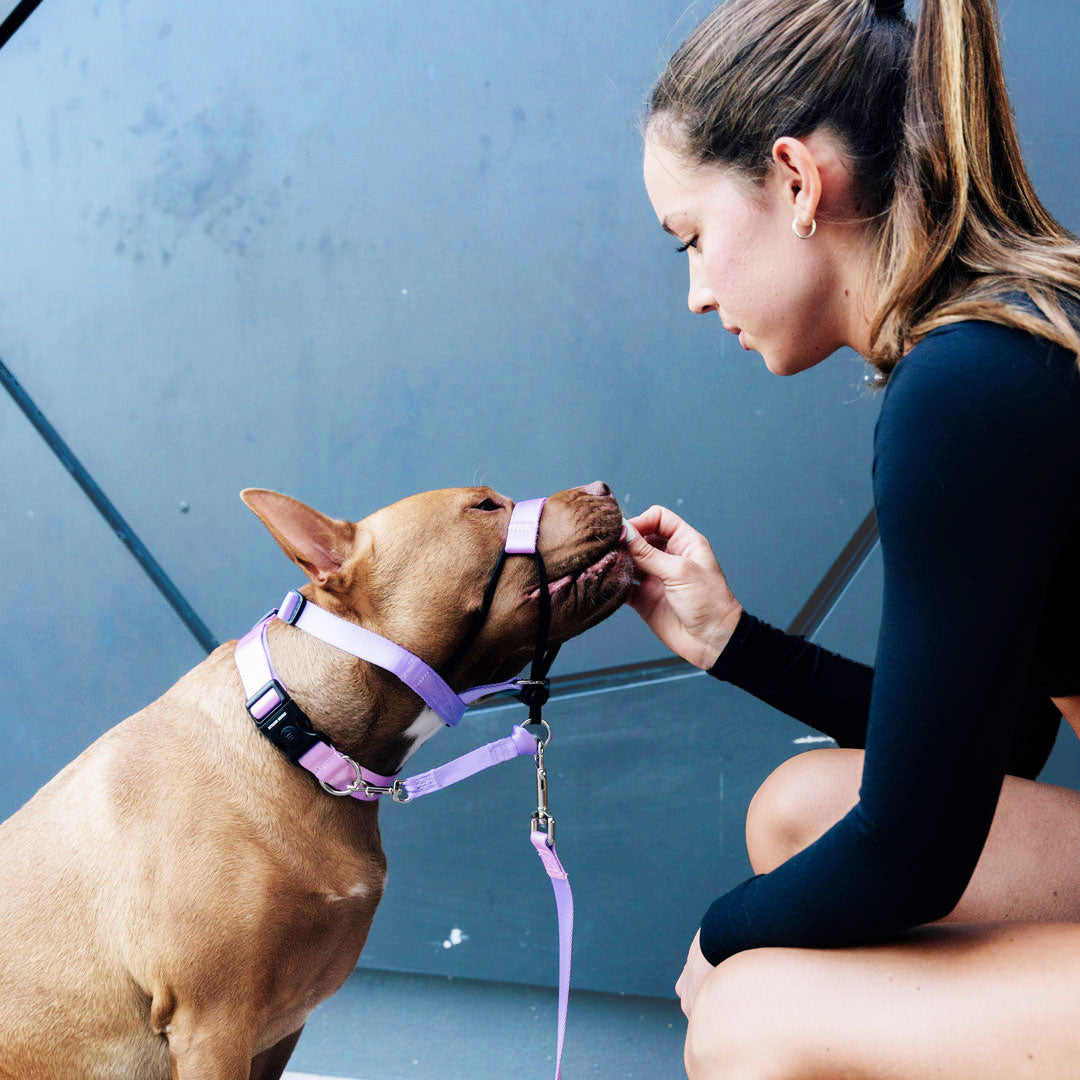 Sorbet Halter - Sorbet