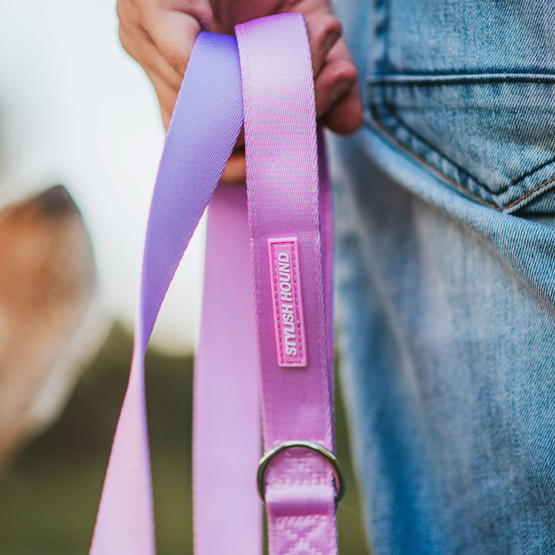 Sorbet Leash - Sorbet
