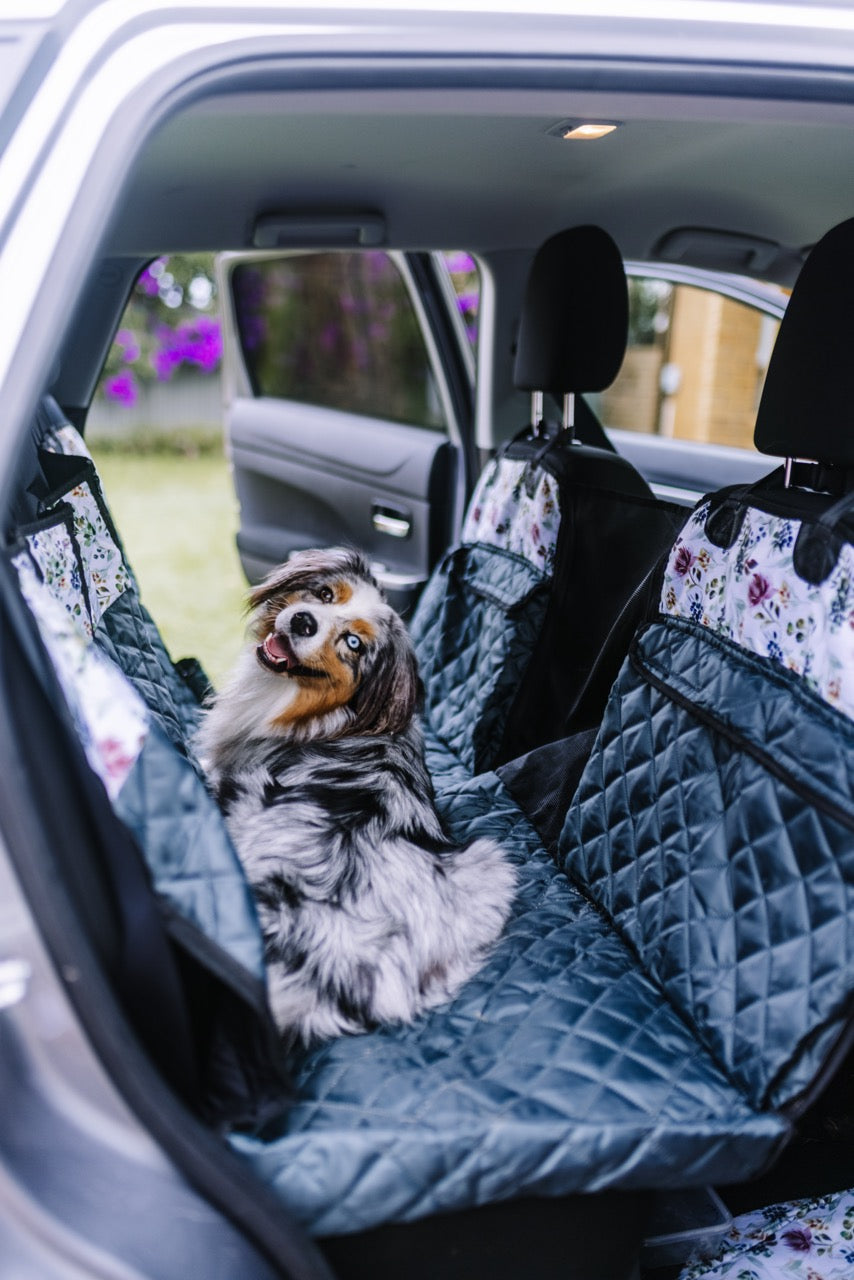 Plan A Stay With Your Doggo