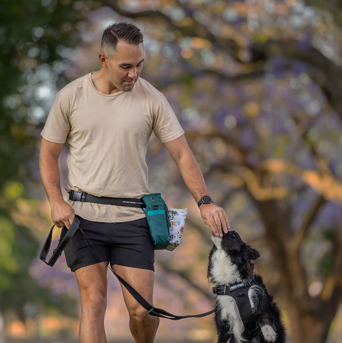 What to Pack for Dog Training Sessions