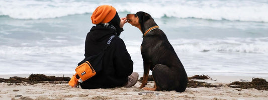 🌞 Top Warm Weather Adventures with Your Dog