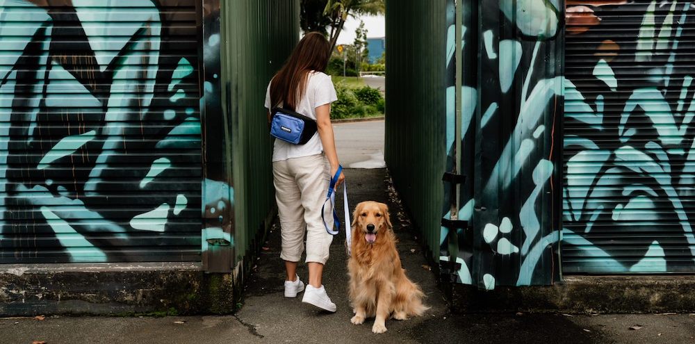 GIFTS GUIDE FOR DOG LOVERS