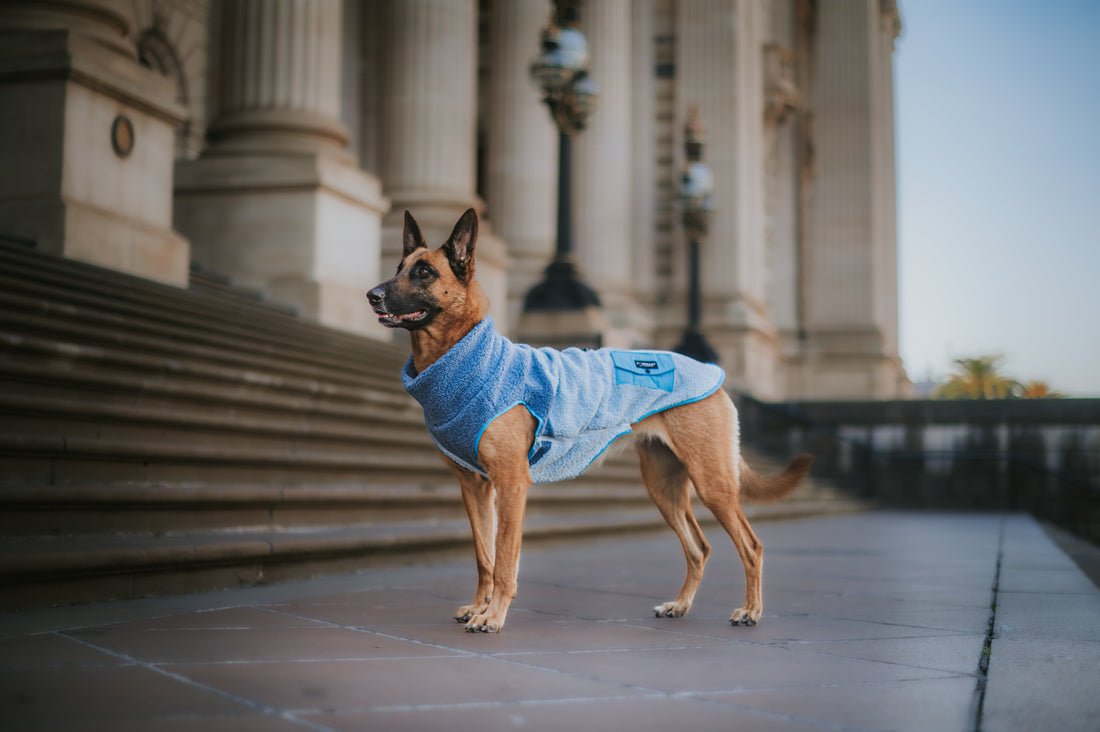 Keep Cosy with Winter Remedies