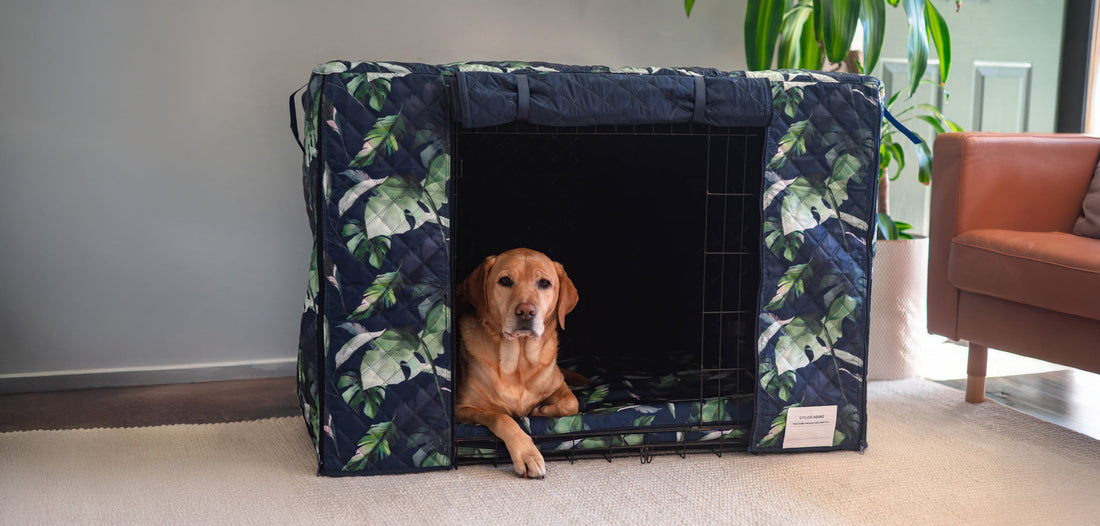 Essentials for a Cosy Home Set Up