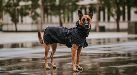 GO TO GEAR FOR WET WEATHER