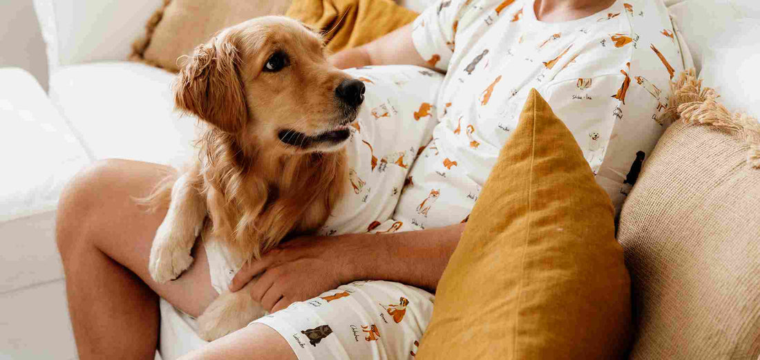 How Can I Get My Dog to Stop Licking Me?