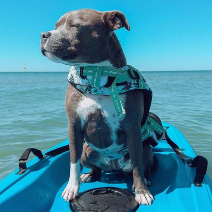 Evergreen Swim Jacket - Evergreen