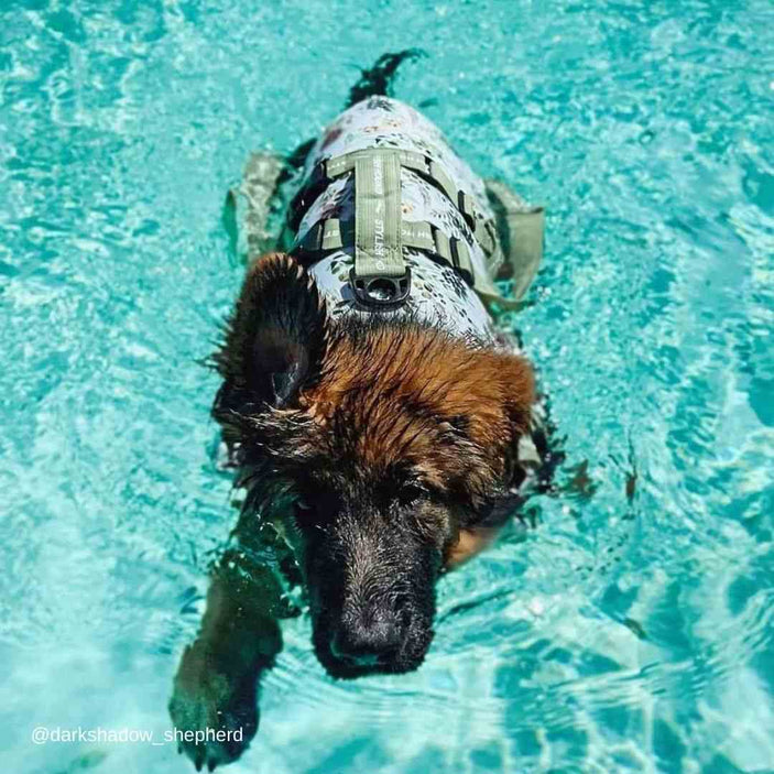 Evergreen Dog Swim Jacket