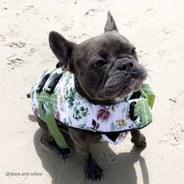 Evergreen Dog Swim Jacket