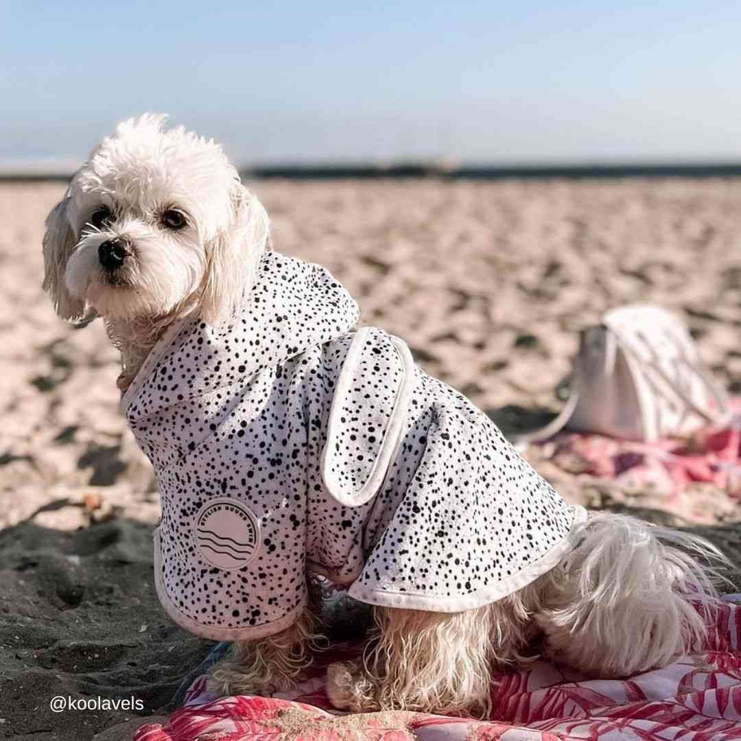 Jackson Dog Robe - Jackson