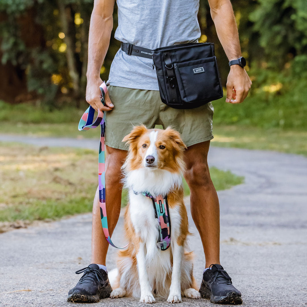 Best Dog Treat Bags LAIYOHO Dog Treat Pouch Clip-On Training Bag