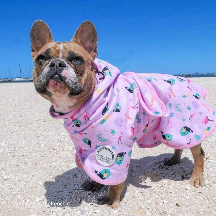 Tropical Dog Robe