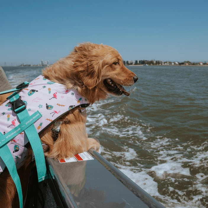 Tropical Dog Swim Jacket