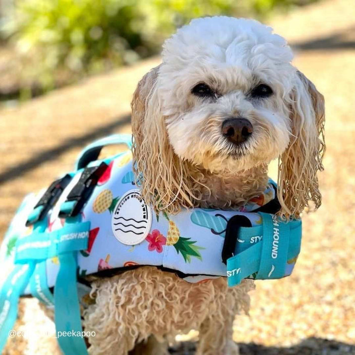 Malibu Dog Swim Jacket