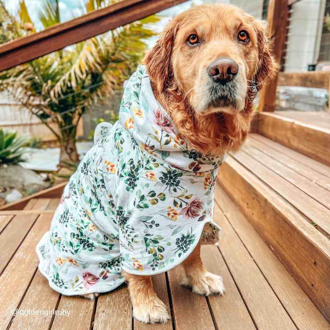 Evergreen Dog Robe - Evergreen