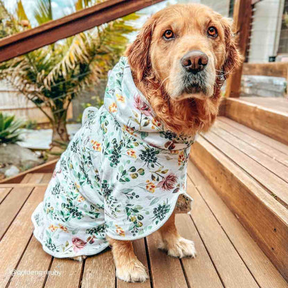 Evergreen Dog Robe - Evergreen