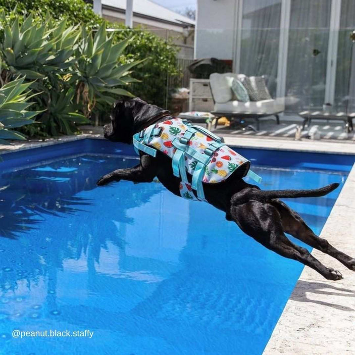 Malibu Dog Swim Jacket