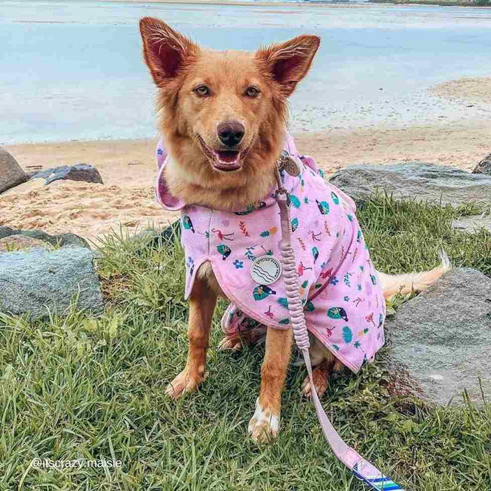 Tropical Dog Robe