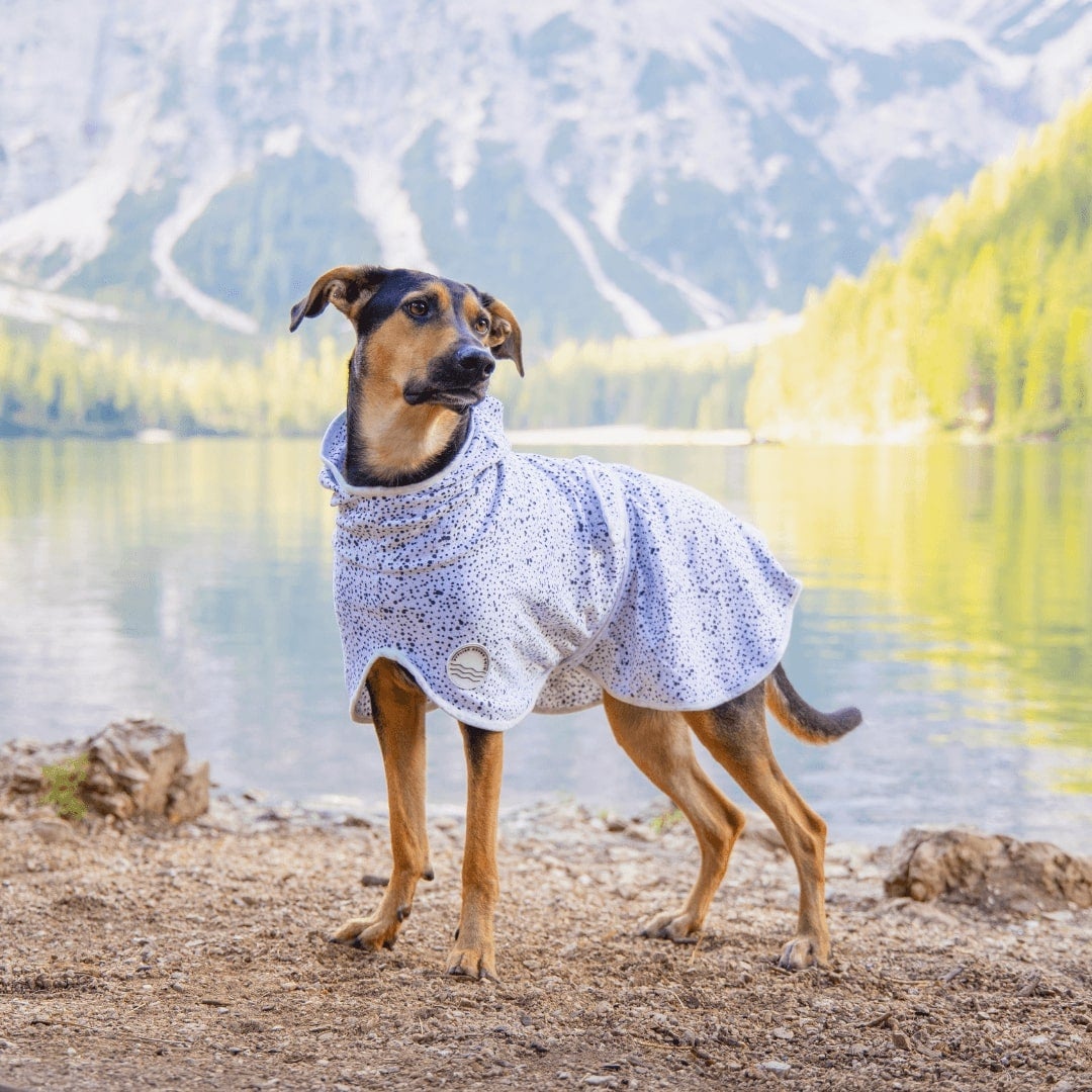 Jackson Dog Robe - Jackson