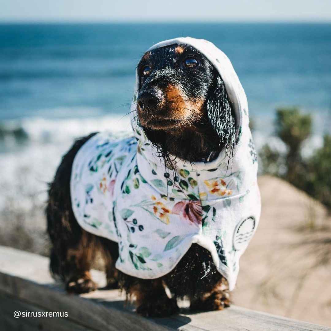 Evergreen Dog Robe - Evergreen